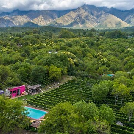 Araoz De Lamadrid Hotel&Bodega 산 하비에르 외부 사진