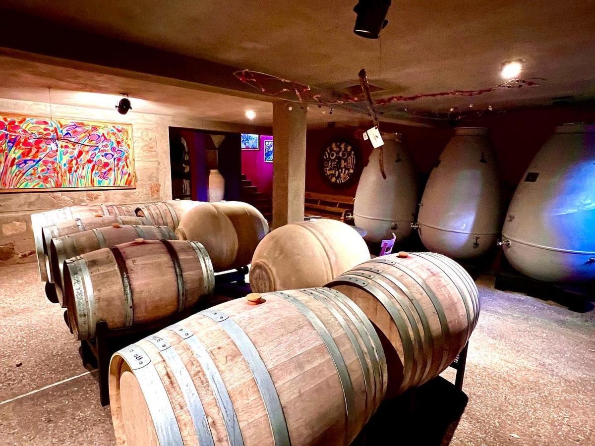 Araoz De Lamadrid Hotel&Bodega 산 하비에르 외부 사진