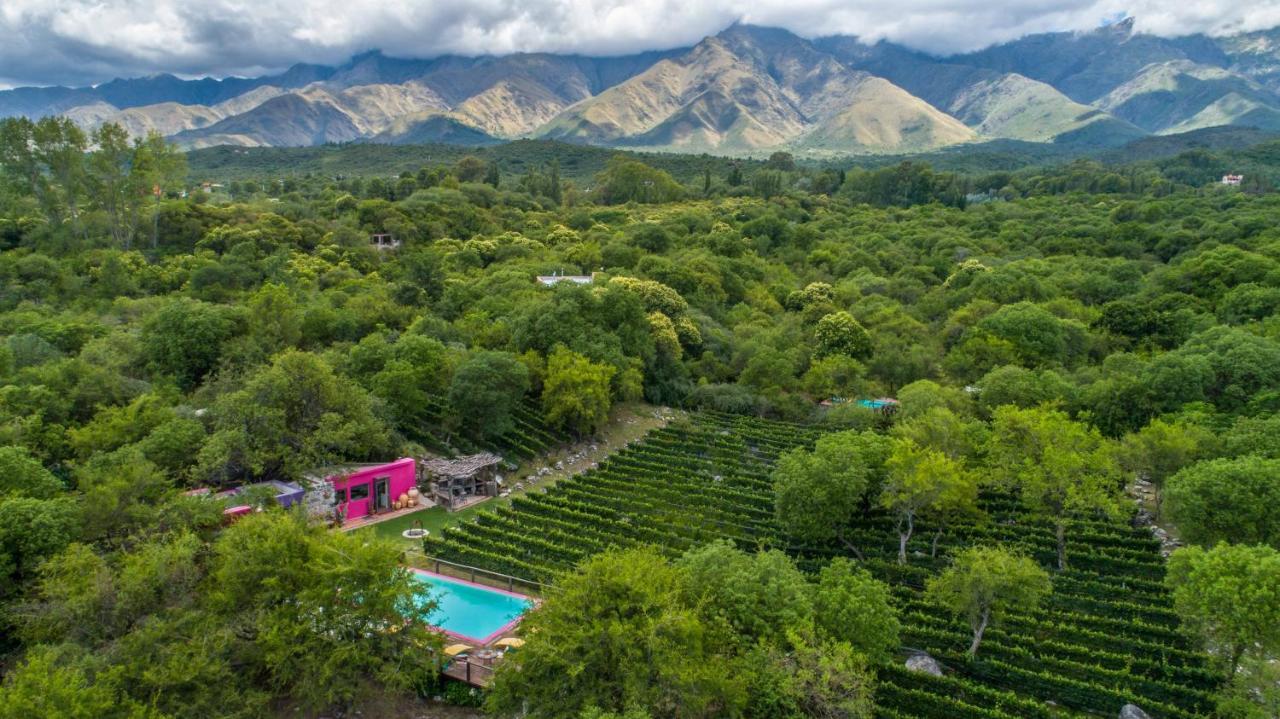Araoz De Lamadrid Hotel&Bodega 산 하비에르 외부 사진